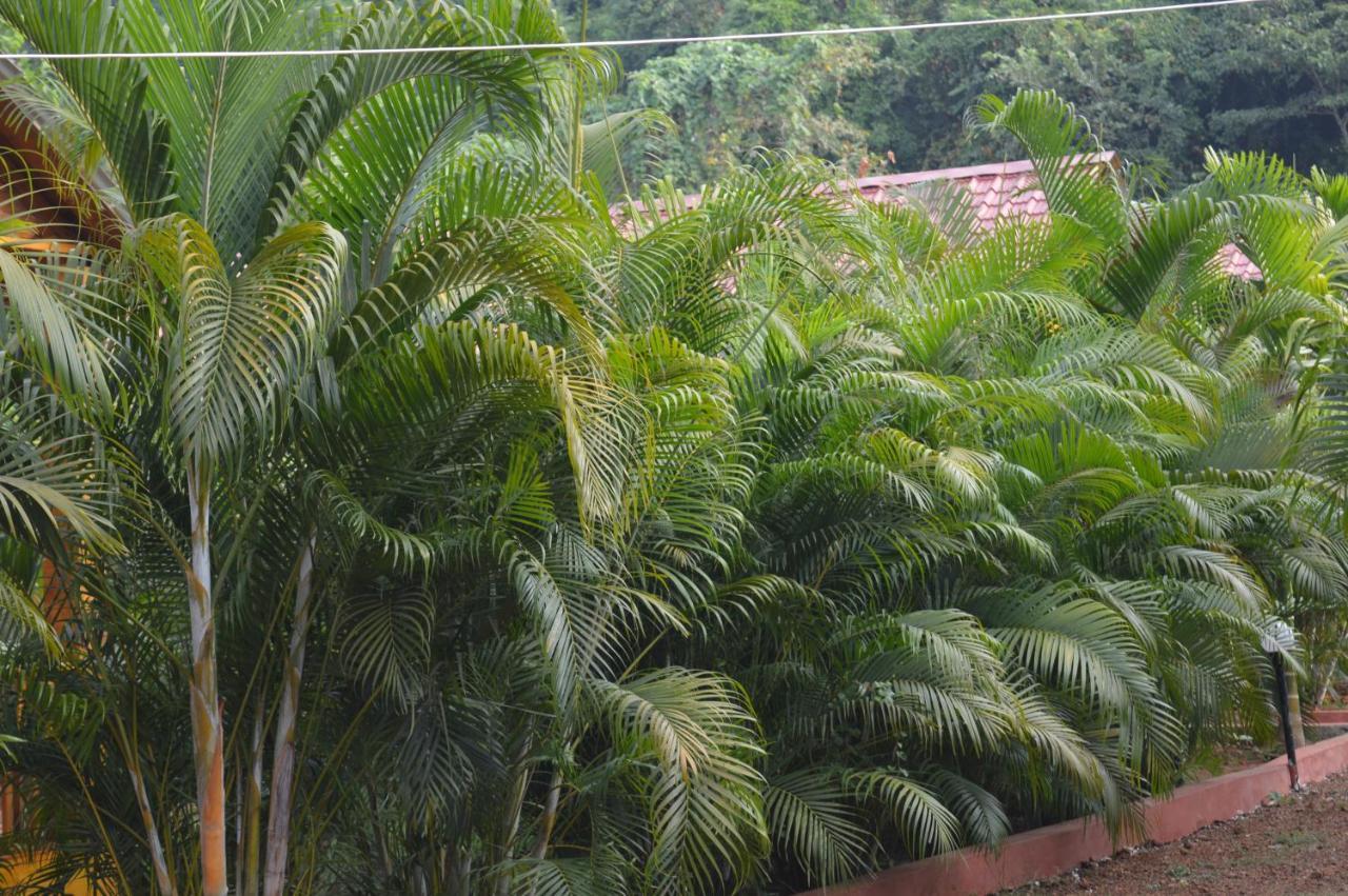 Kings Villa Resort Palolem Luaran gambar