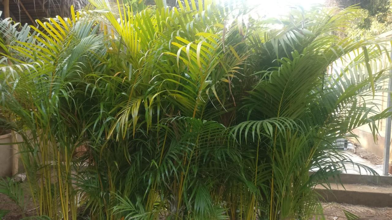 Kings Villa Resort Palolem Luaran gambar